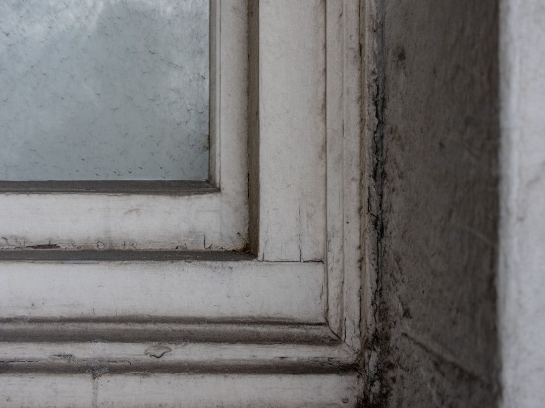 Сезонне миття вікон: коли найкращий час?