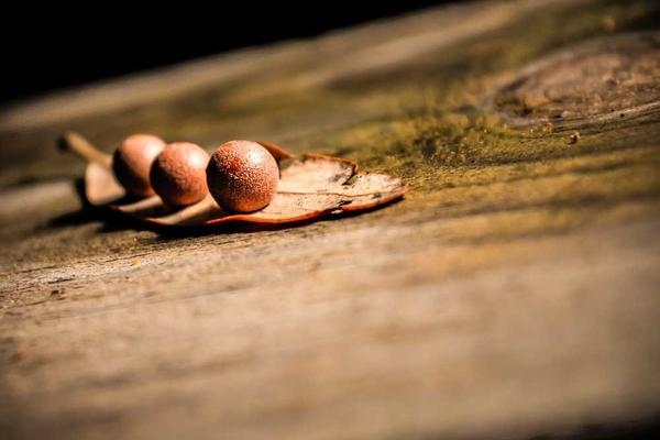 Kulturni događaji u Hrvatskoj